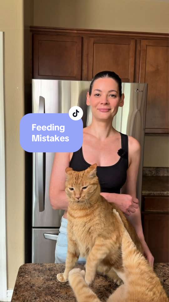 @Feminist Kitty | Cat Nutrition