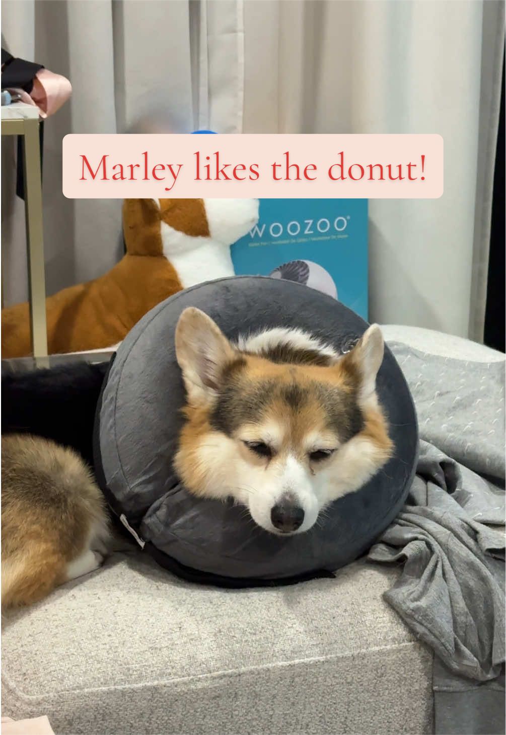 @Marley