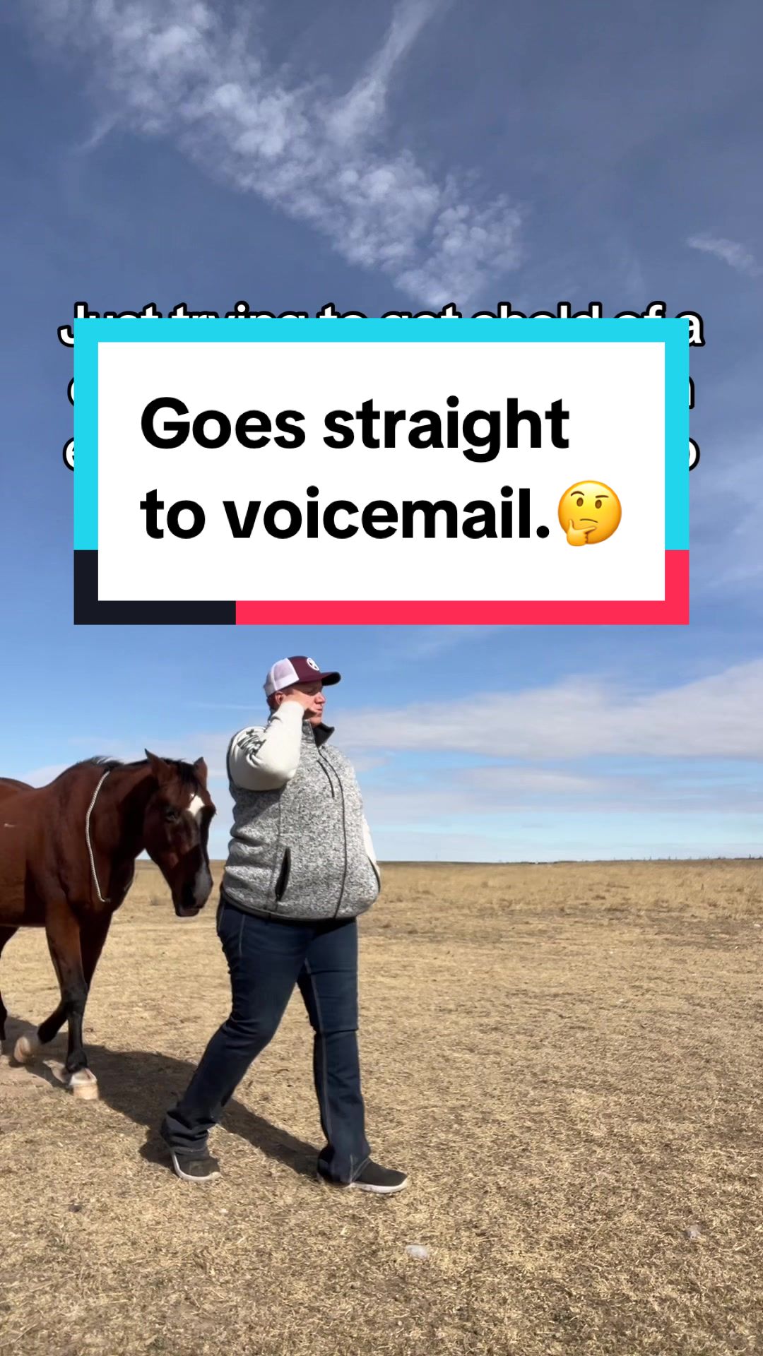 @Maureen | Equine Photographer