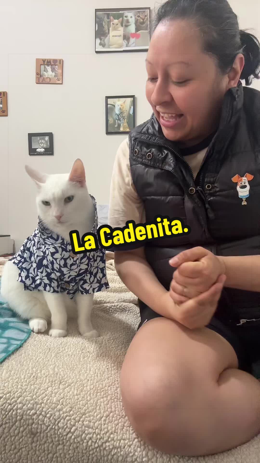 @🦖 MEOWassic CAT😺