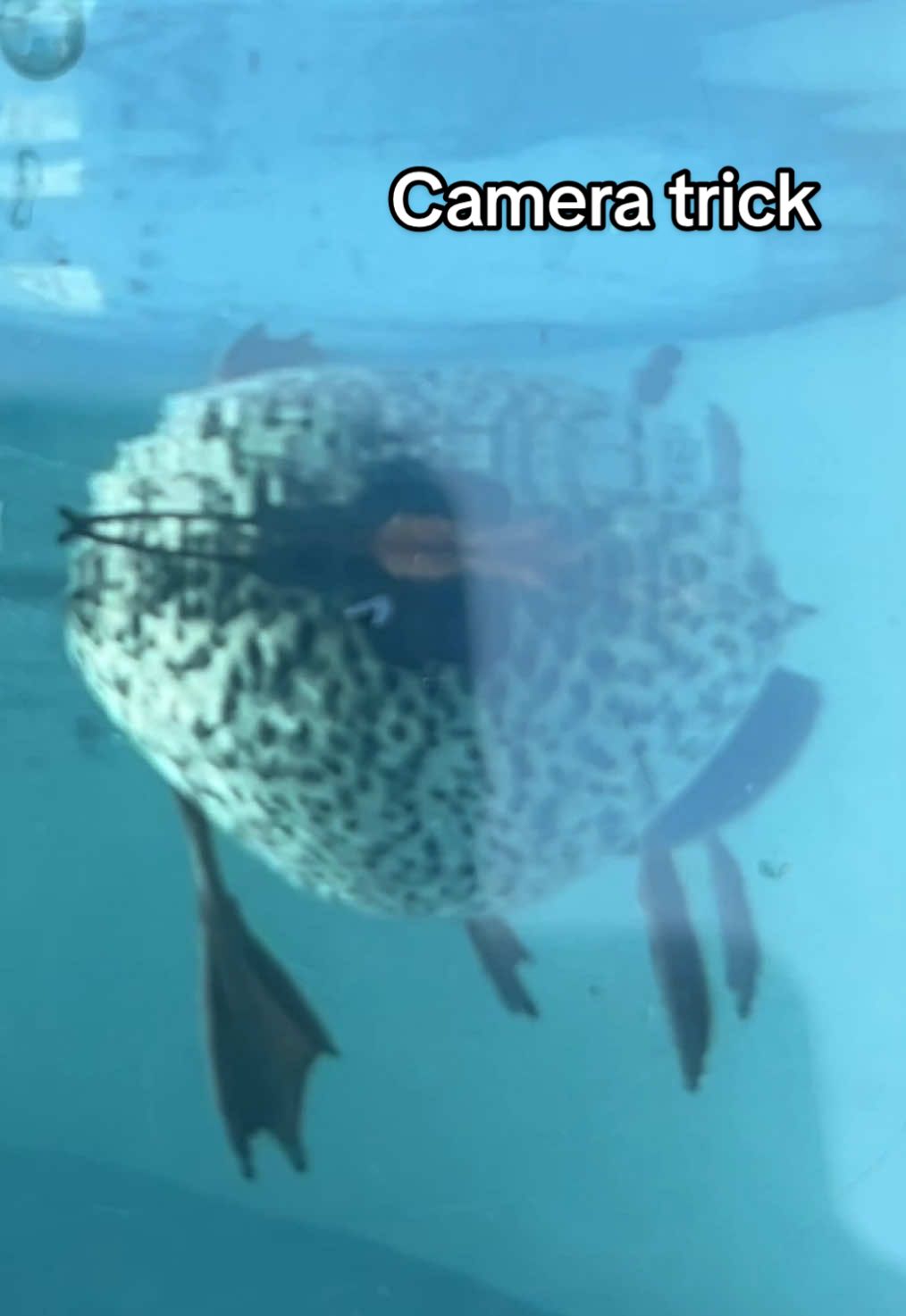 @Tina