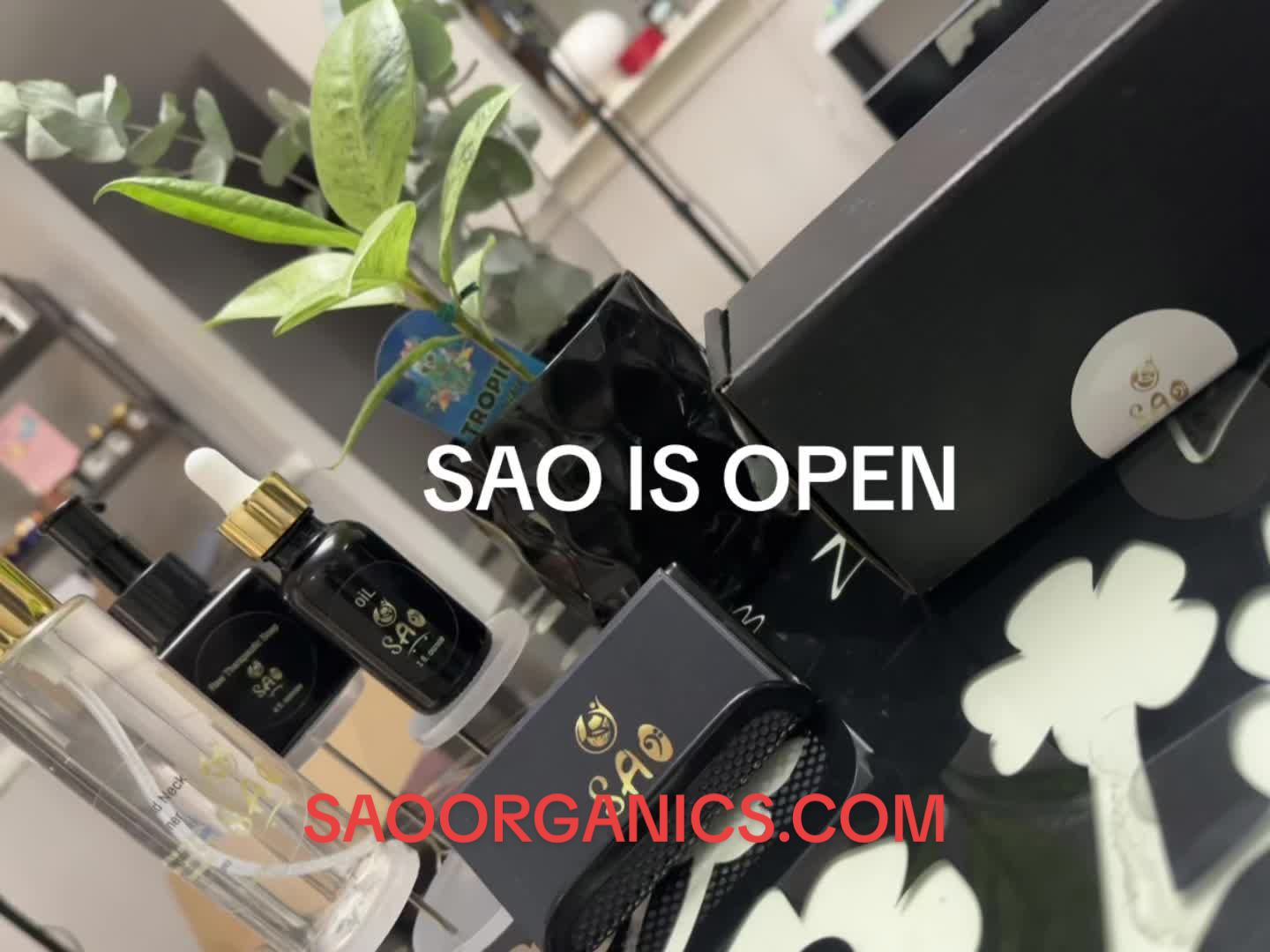 @SAO