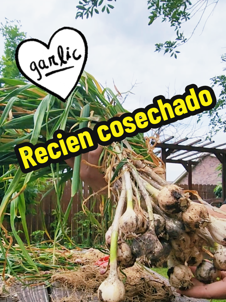 @Mi Rincón Favorito