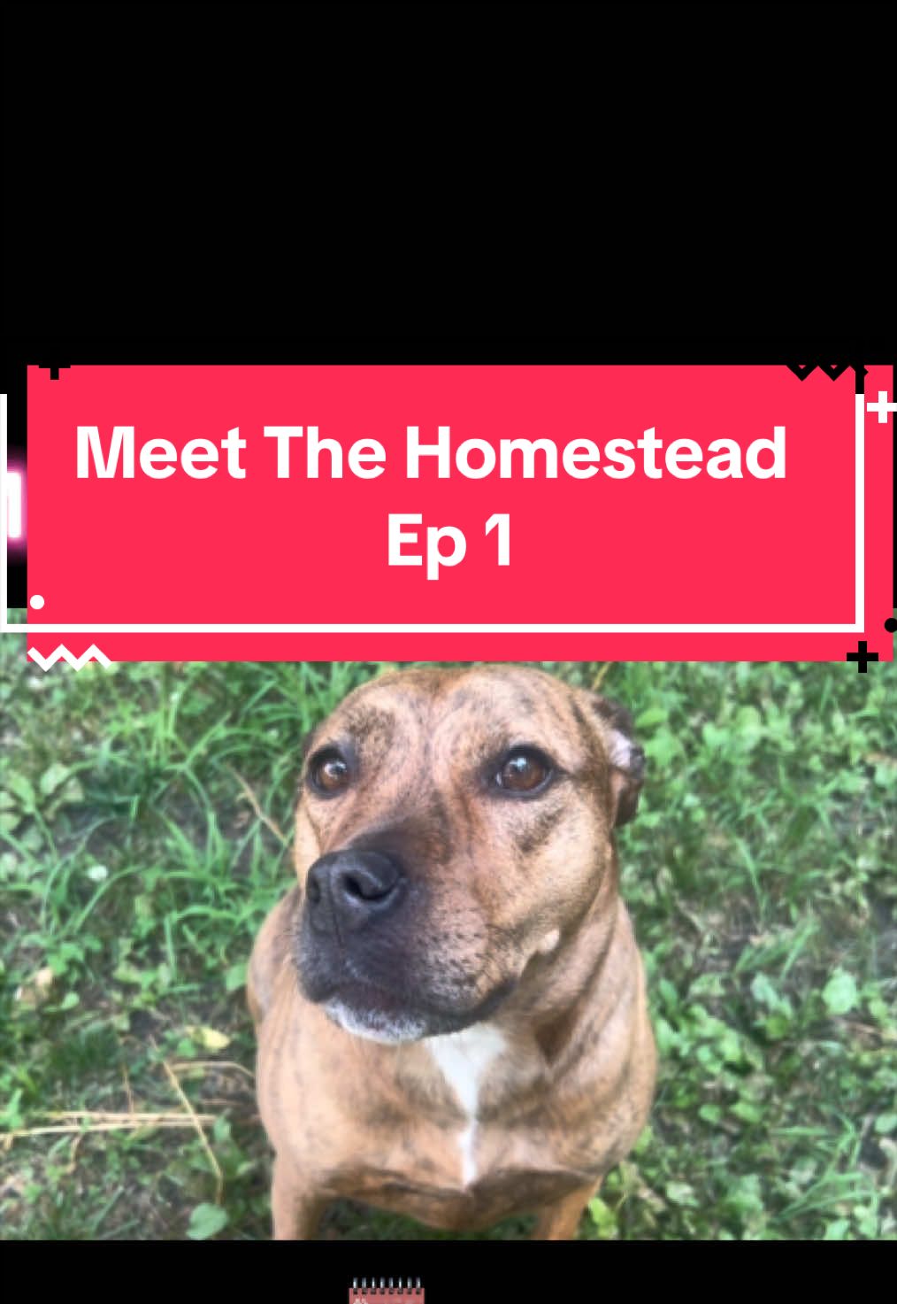 @candidhomestead