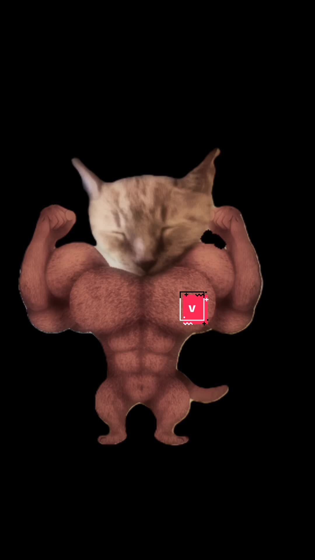 @adampuf