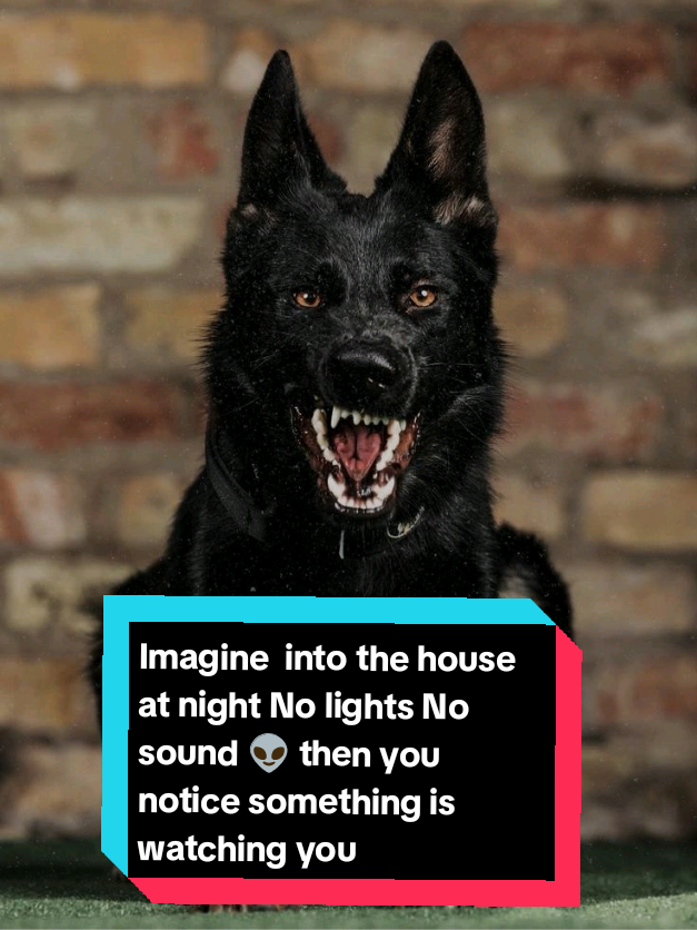@Richy Beast
