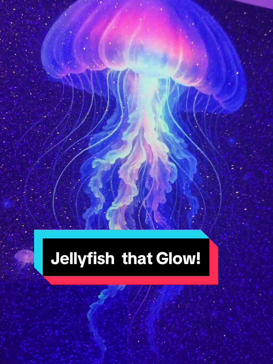 @Glow by Nikki
