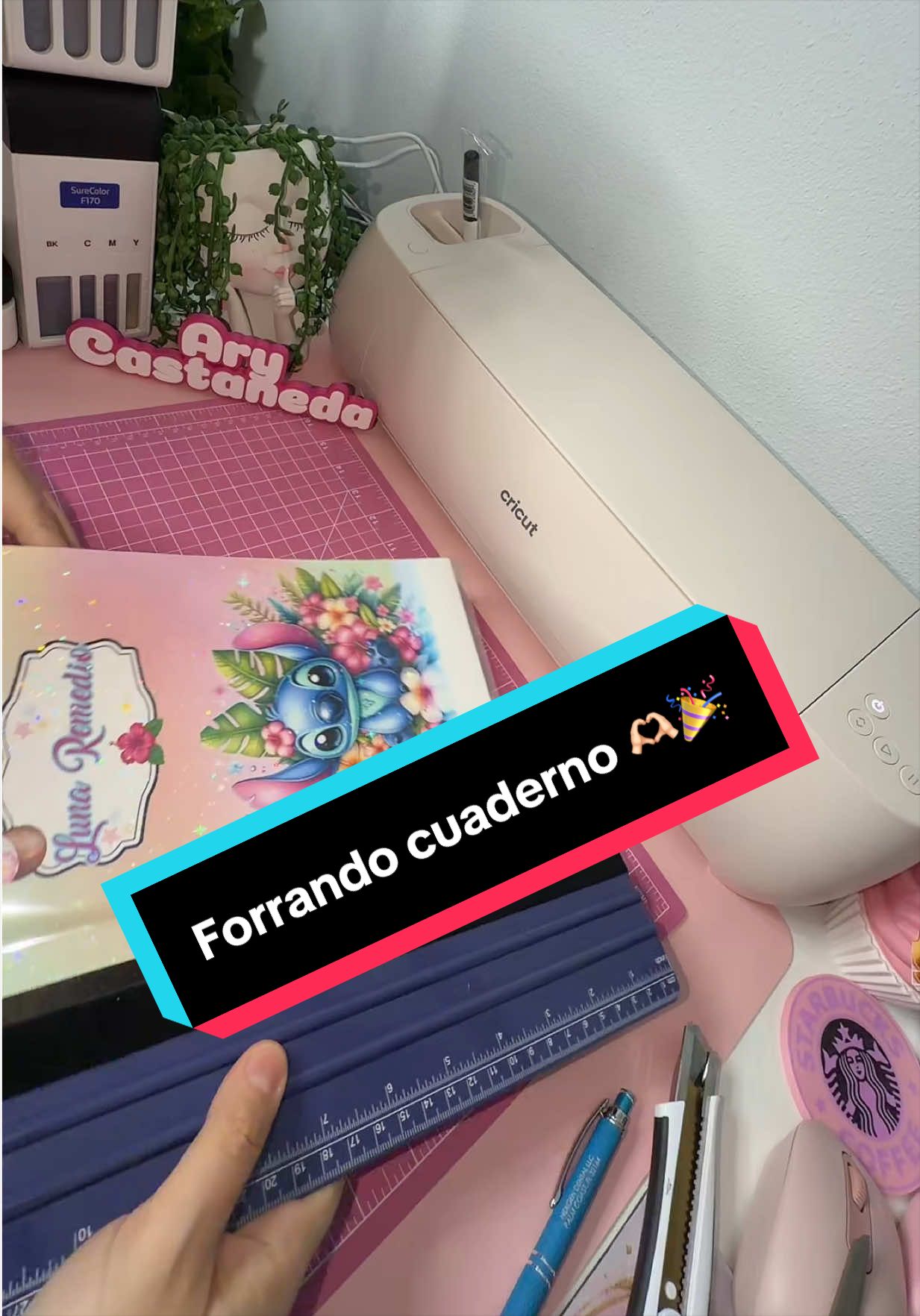 @ary_castanedan