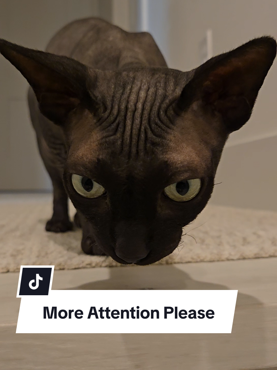 @kyoto.jack.sphynx