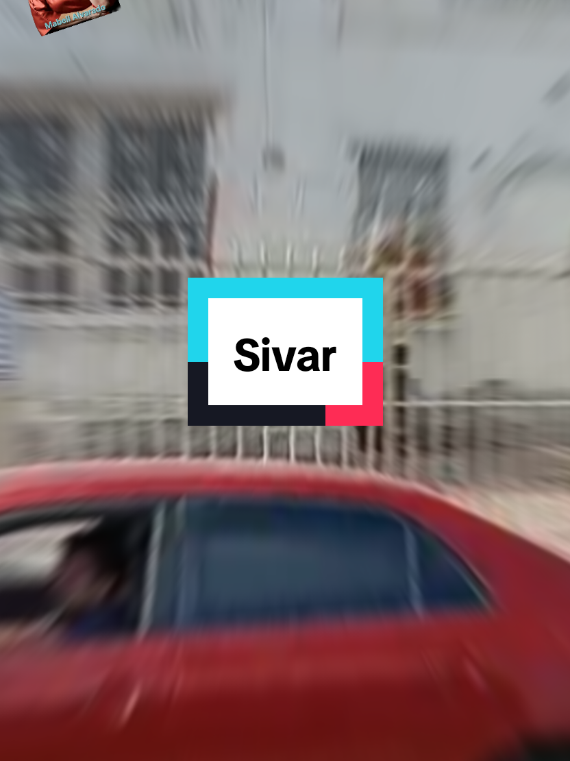 @salvilandia