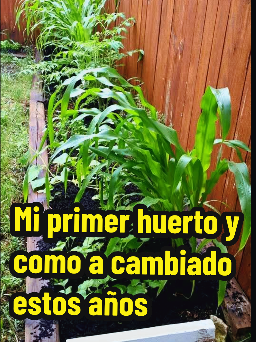 @Mi Rincón Favorito