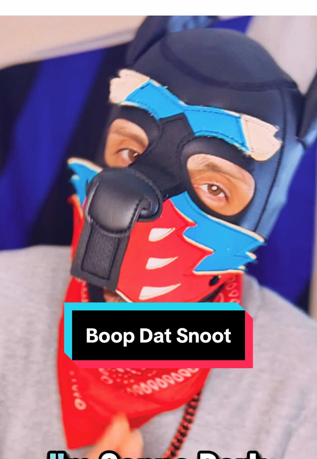 @Pup Sora