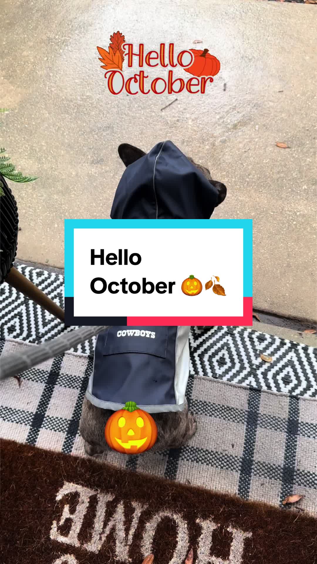 @HeysItsCeeCee