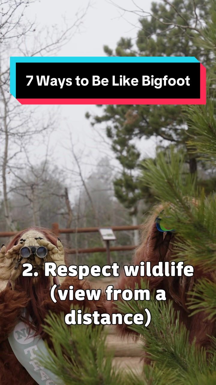 @Pikes Peak Region Attractions