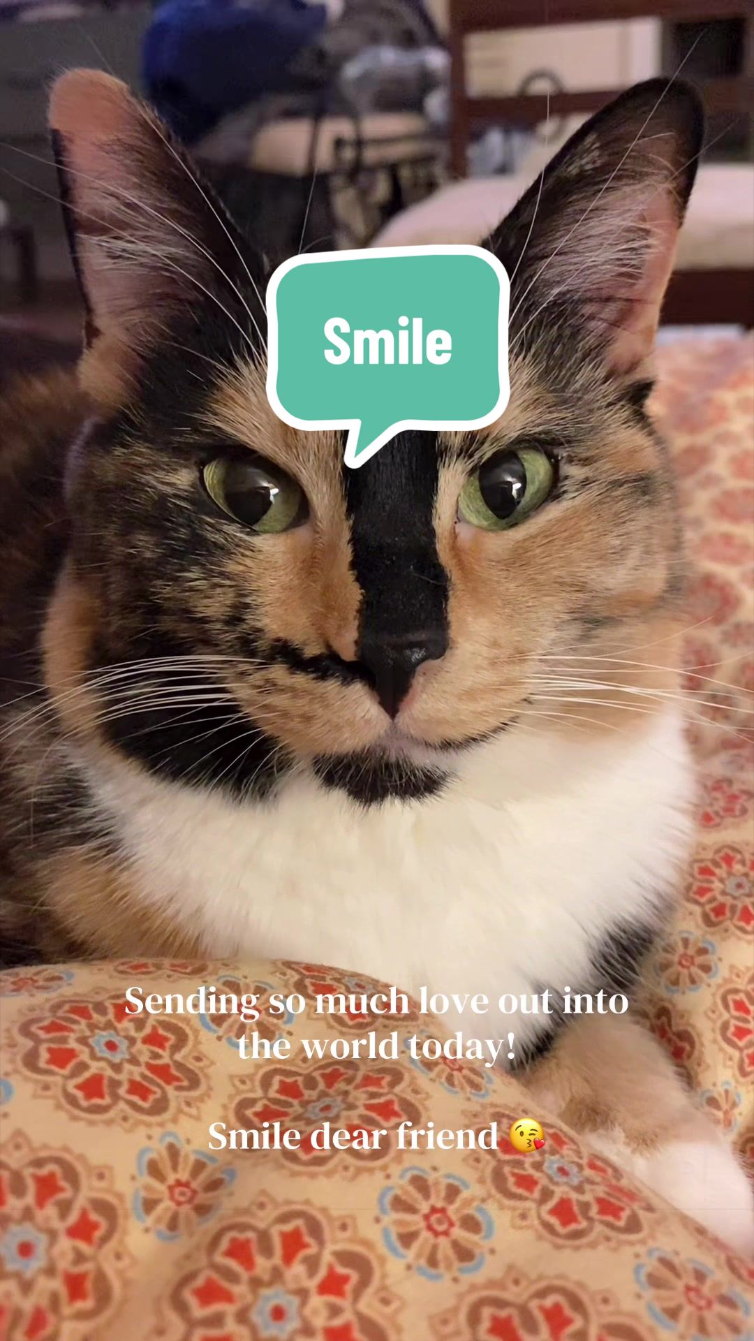 @SnickersTheSmilingCat