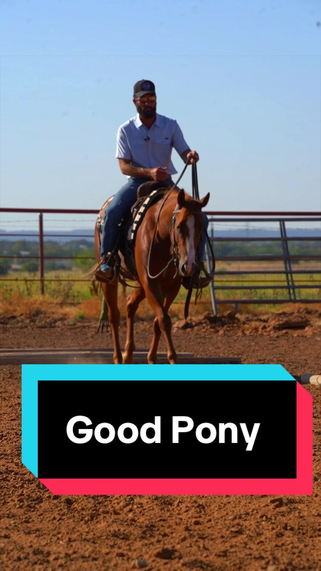@WS Horses