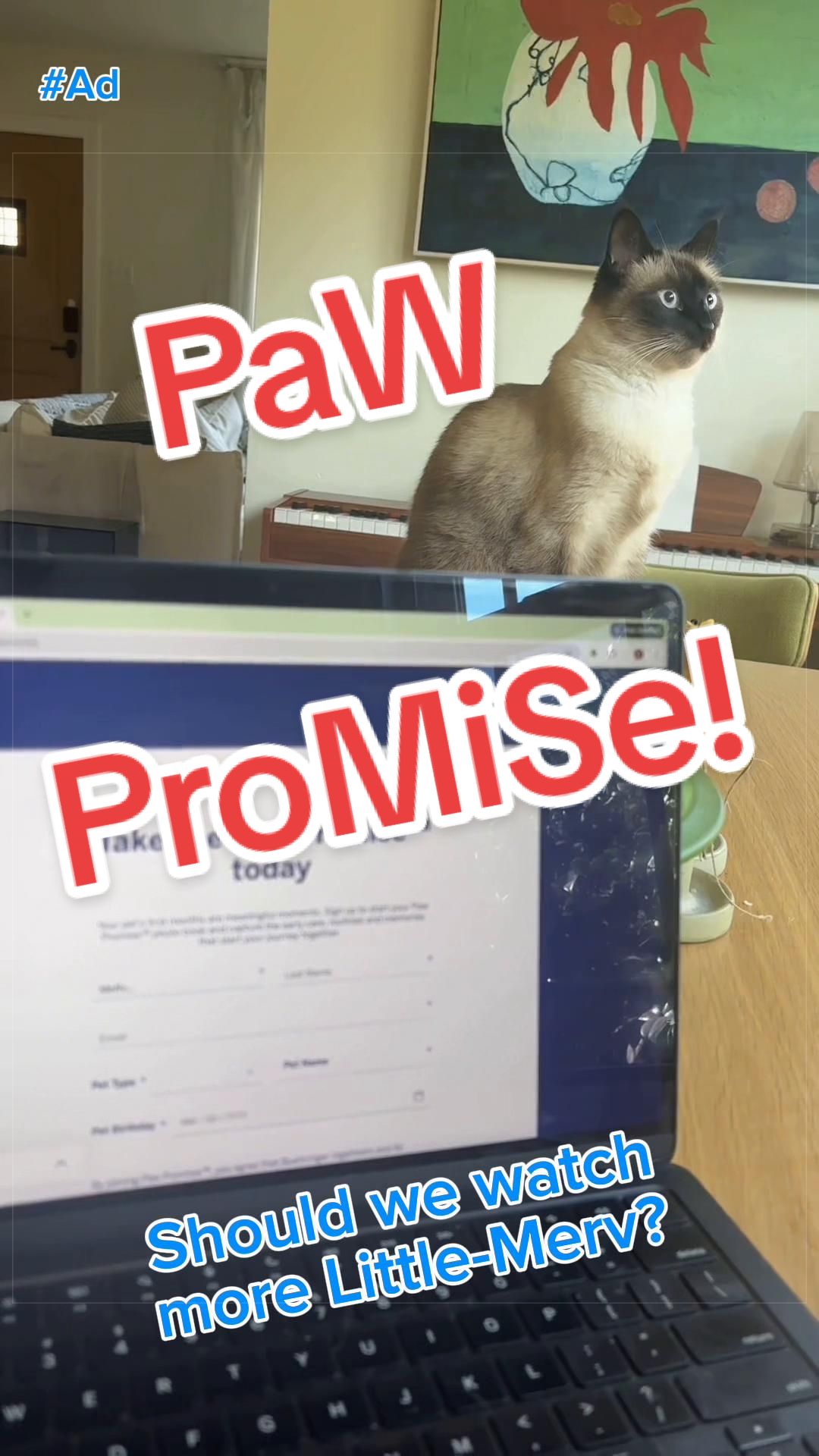 @Merv The Cat