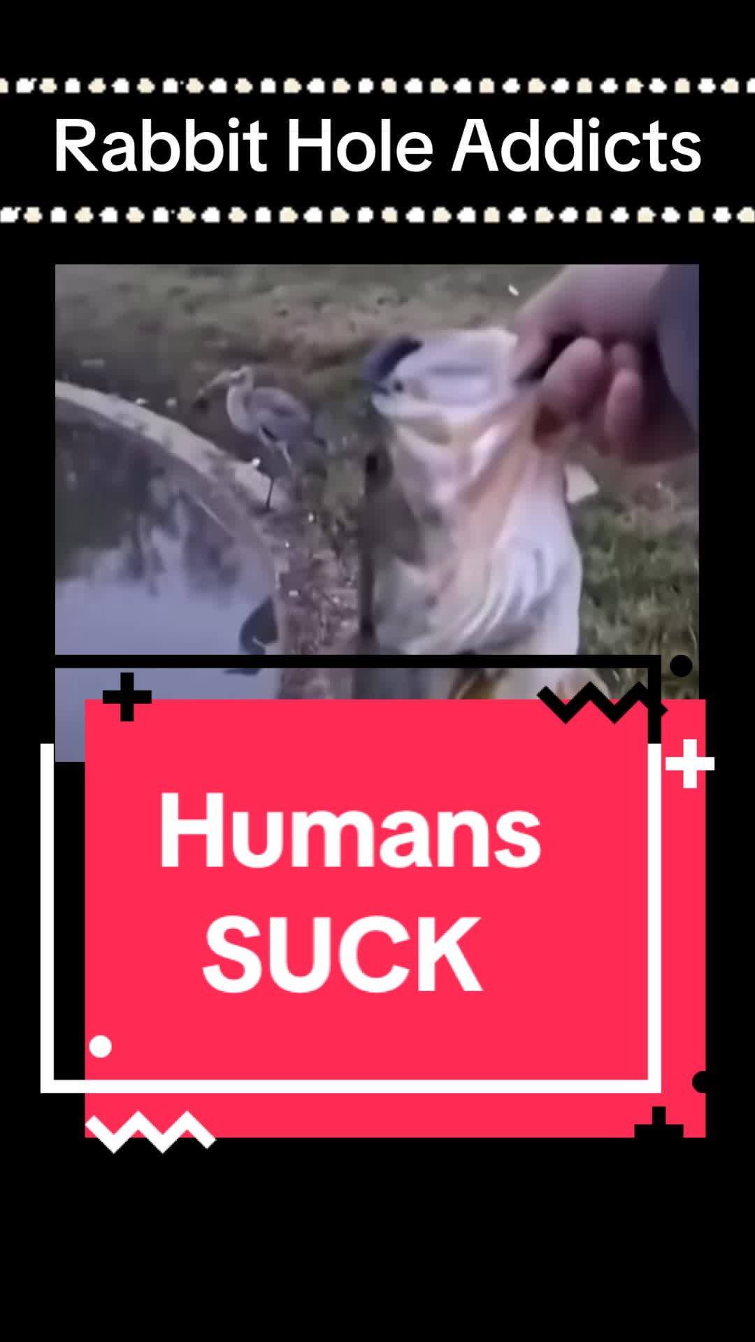 @Rabbit Hole Addicts