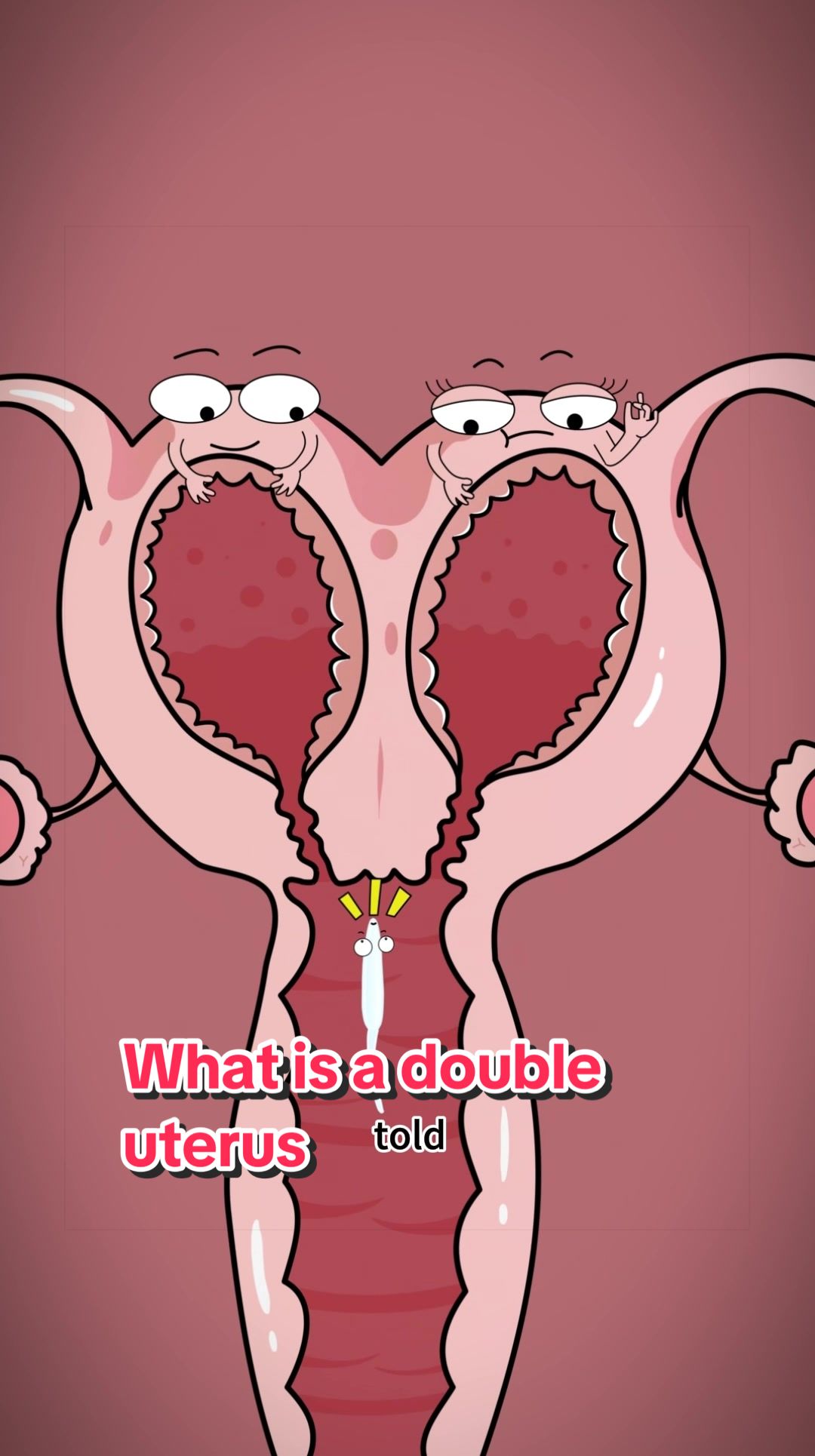 @Funny Animations