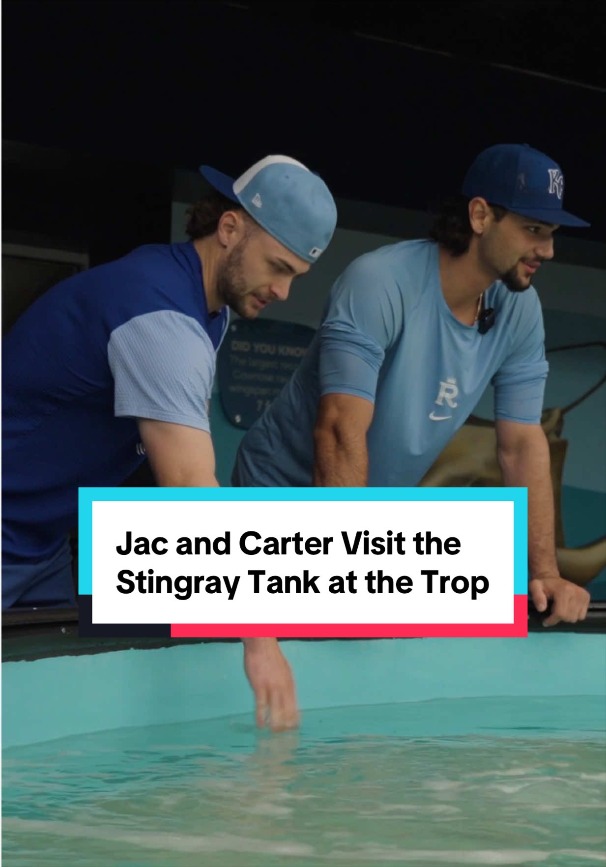 @Kansas City Royals