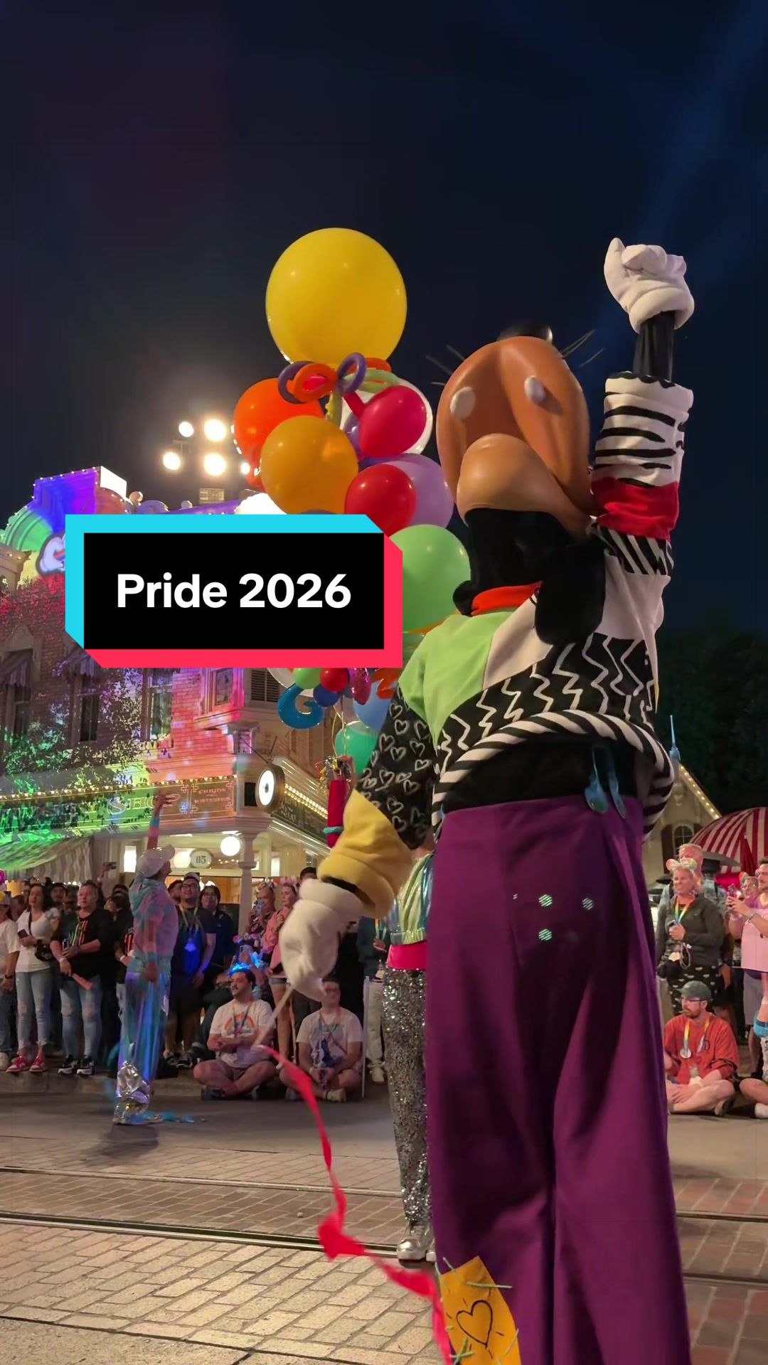 @Disney Dreamer