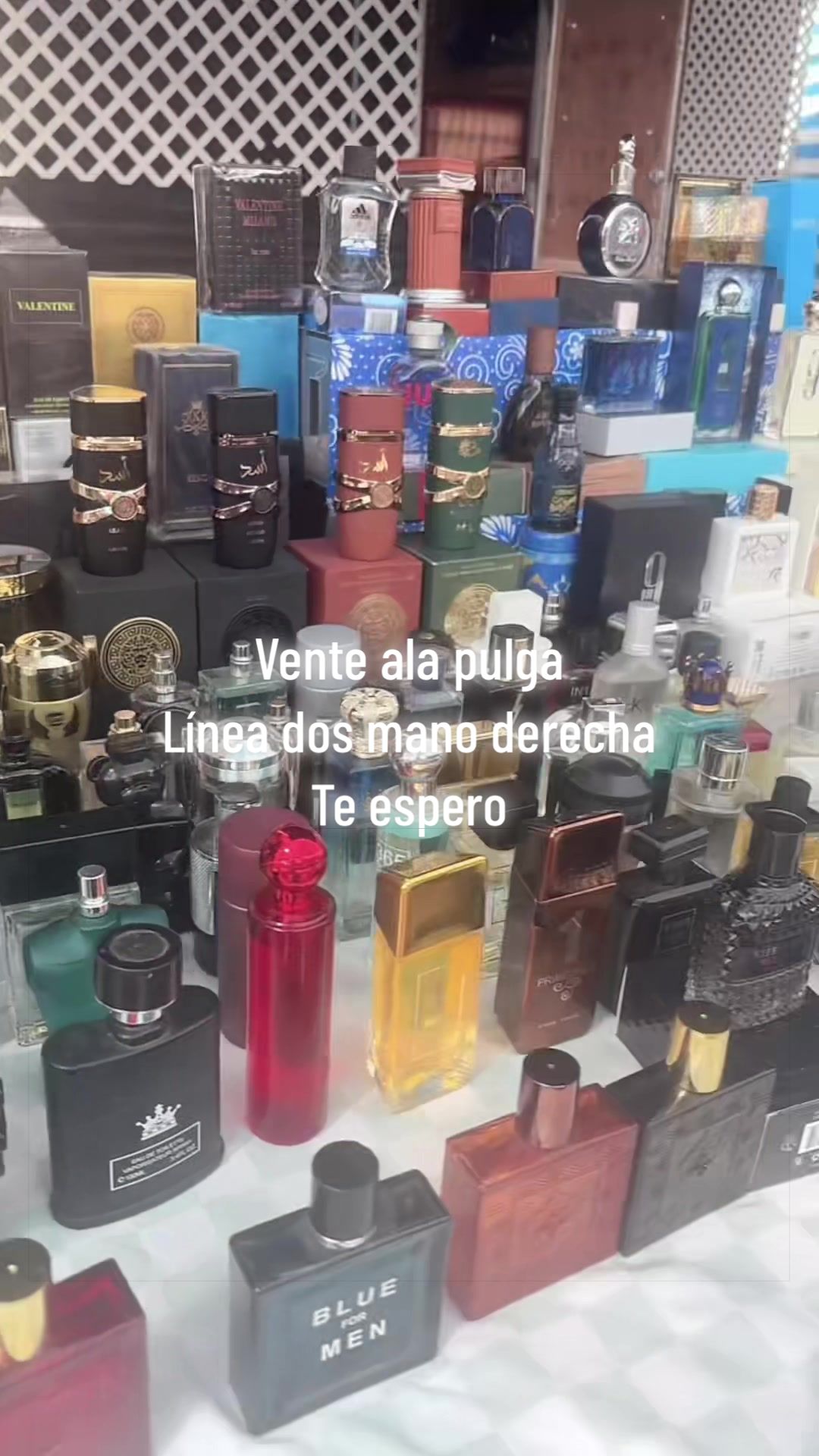 @blanca quirino