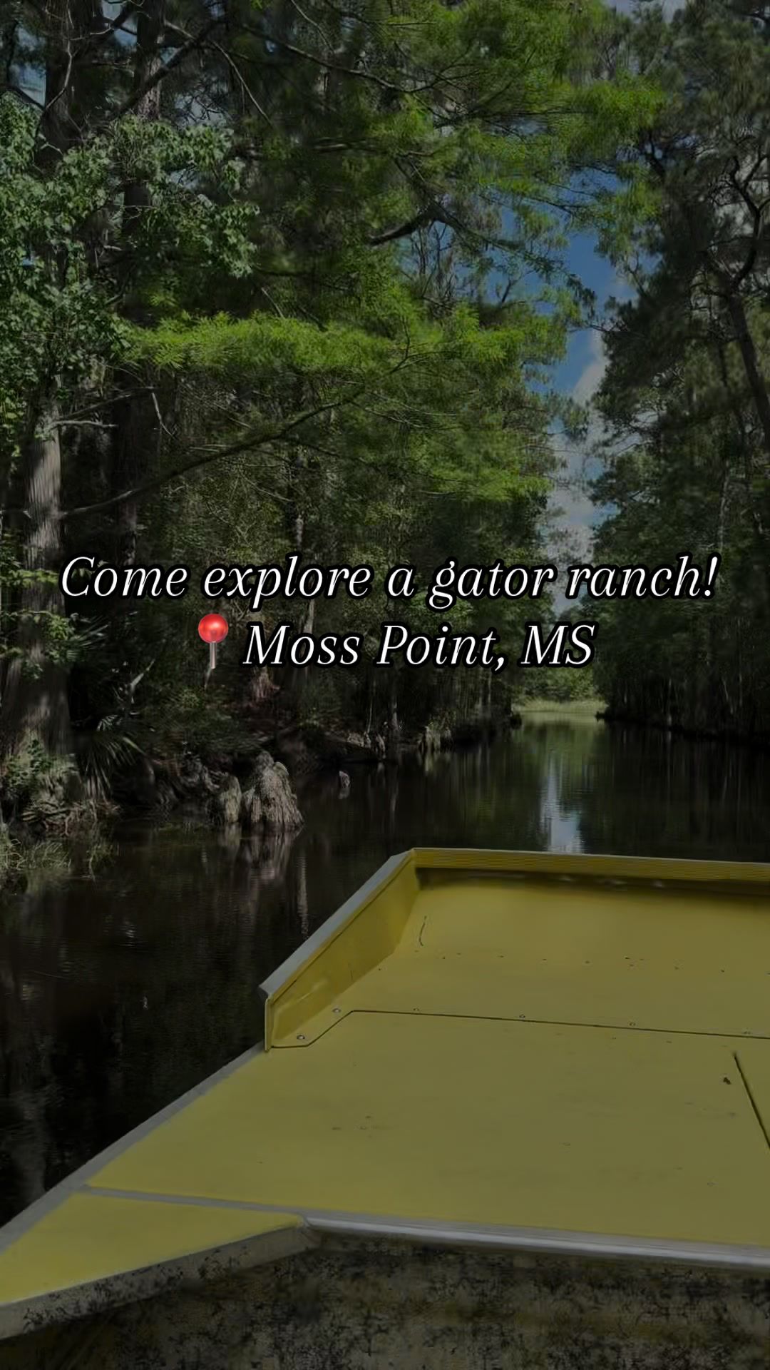 @Coastal Mississippi