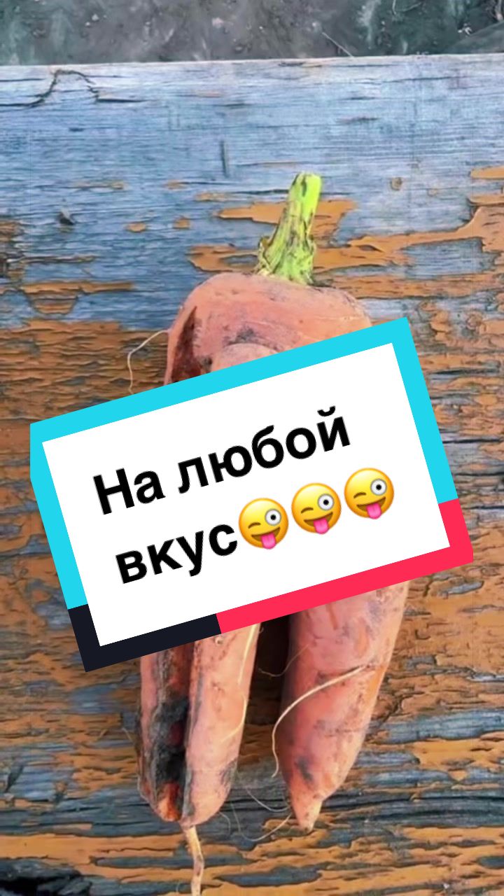 @🌹Екатерина🌹