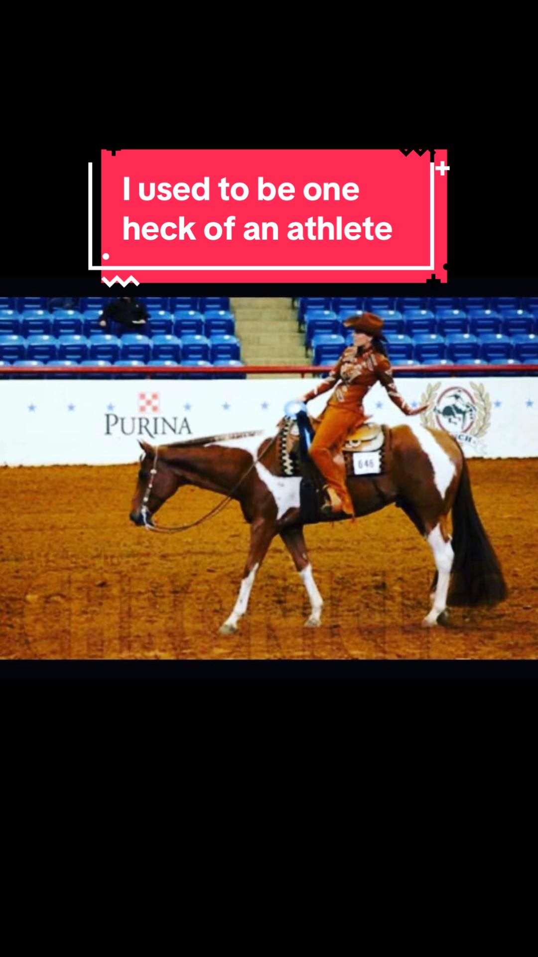 @yourhorseandponyleader