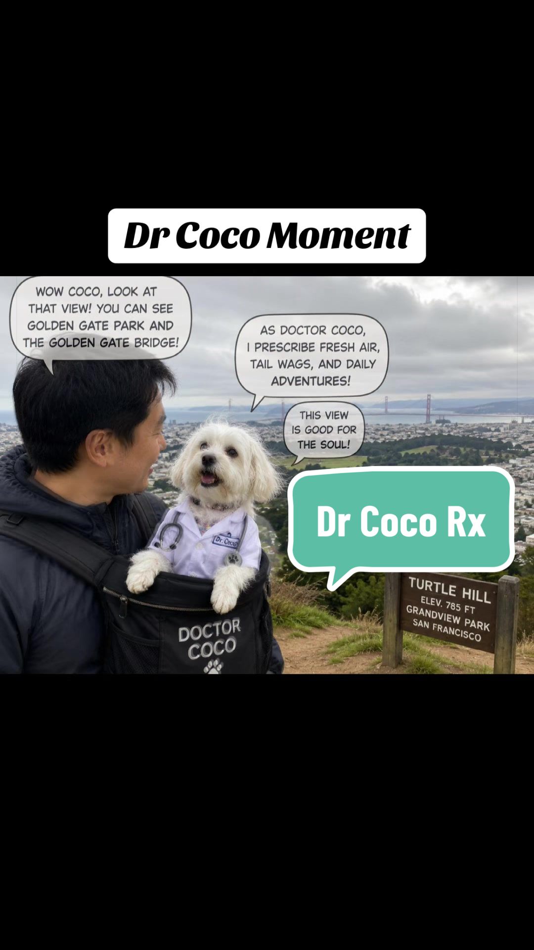 @Coco_puppysf