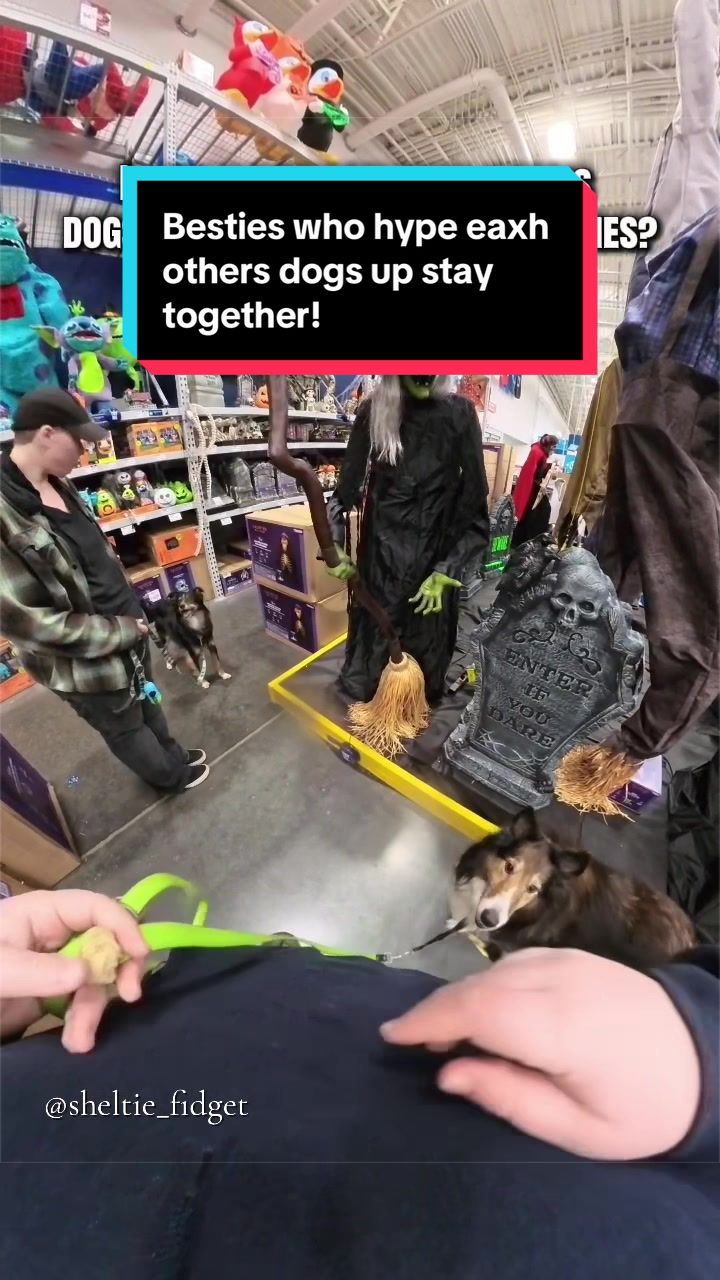 @Dakota & Pups