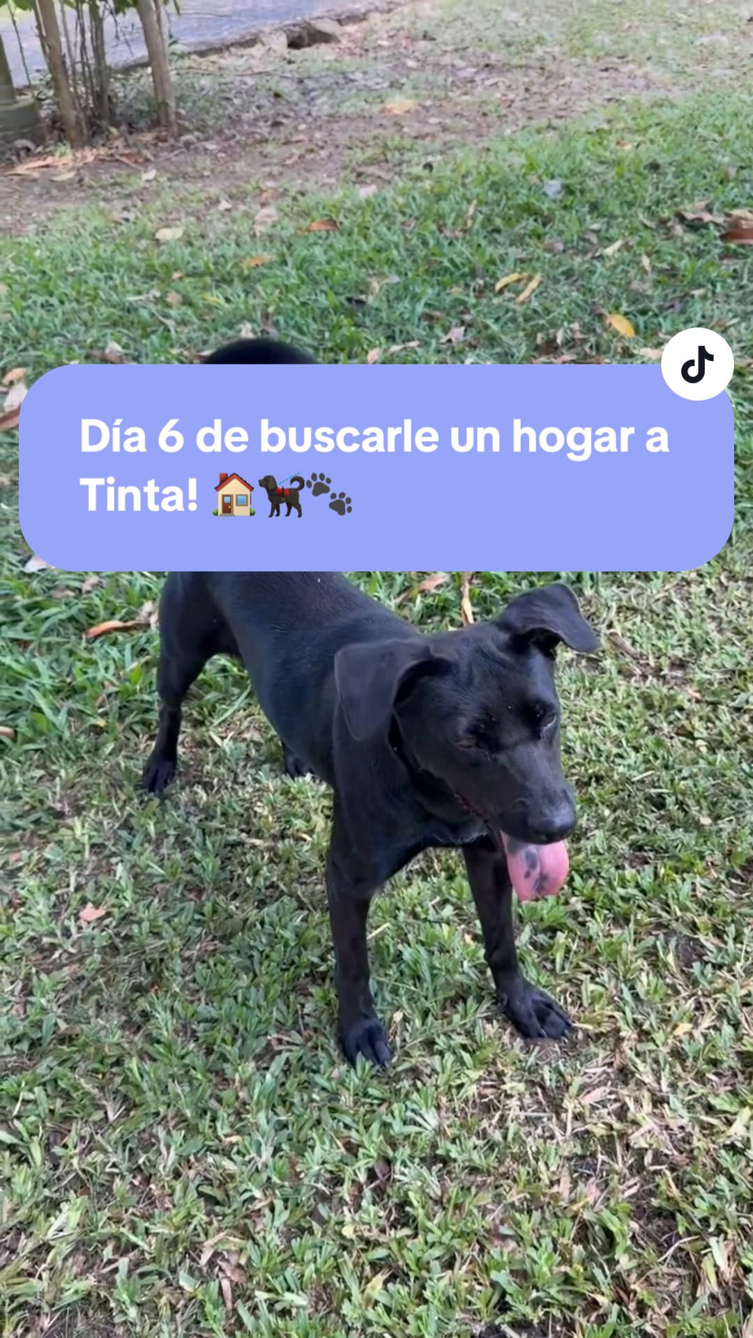 @VivoconJai