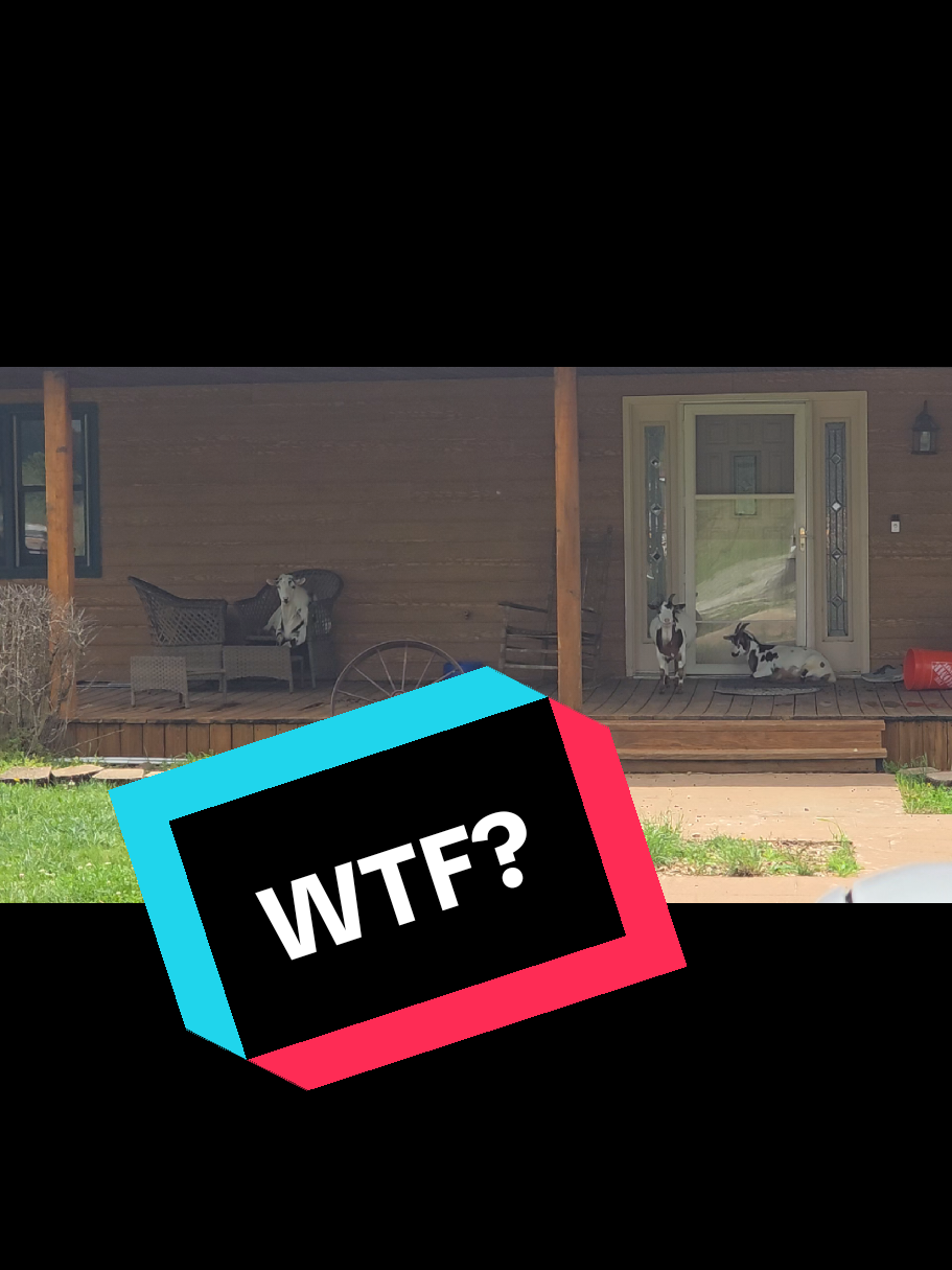 @Pete Thewirelessguy