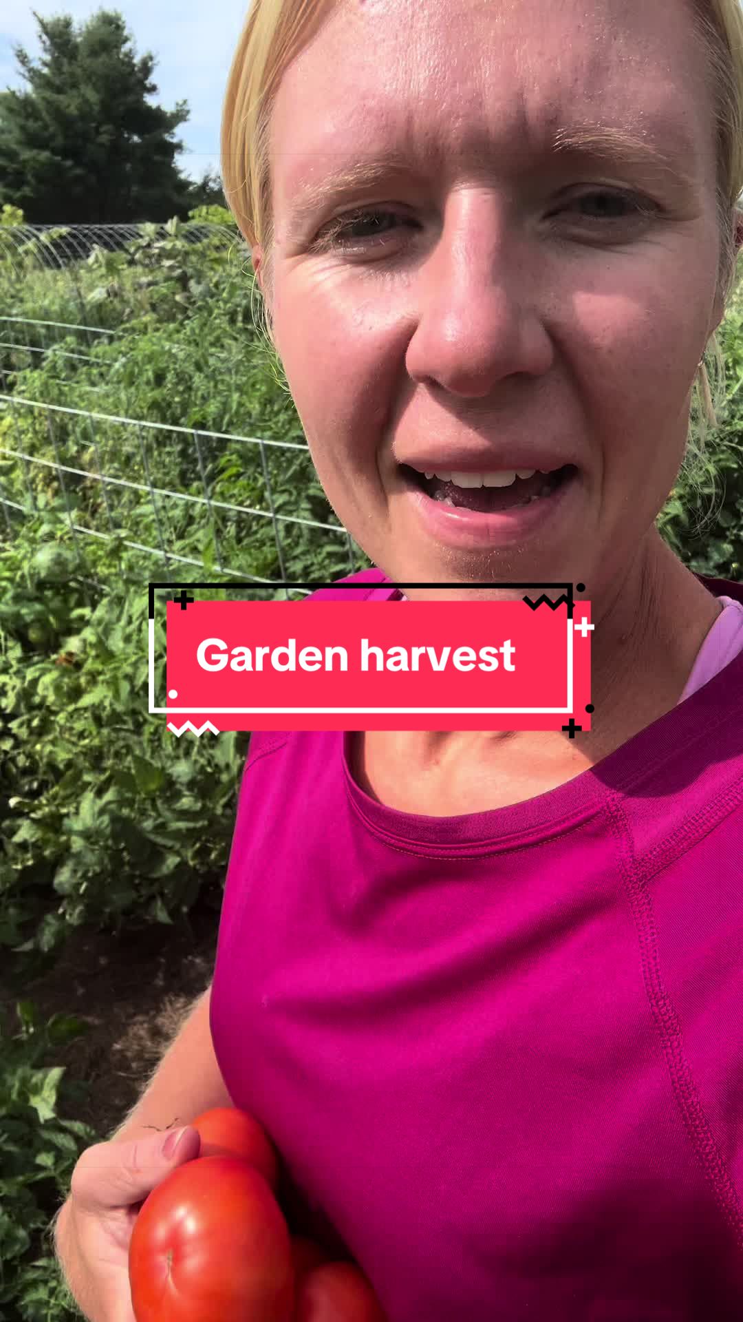 @littlesandycreekfarm