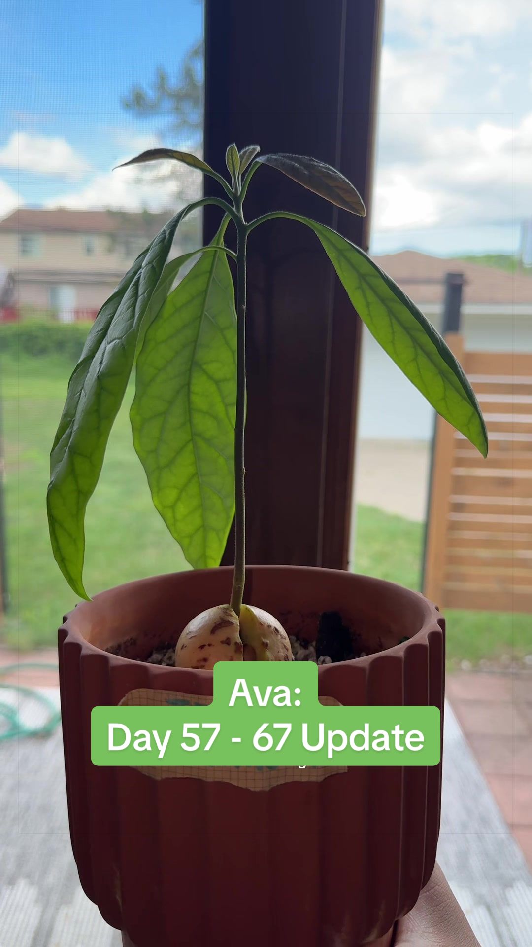 @Niki - Ava&rsquo;s Mom 🥑🌱