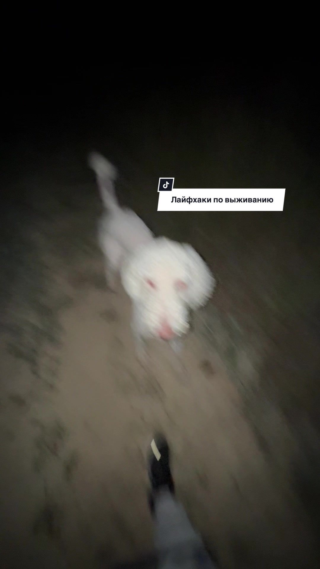 @Инна | Беркут
