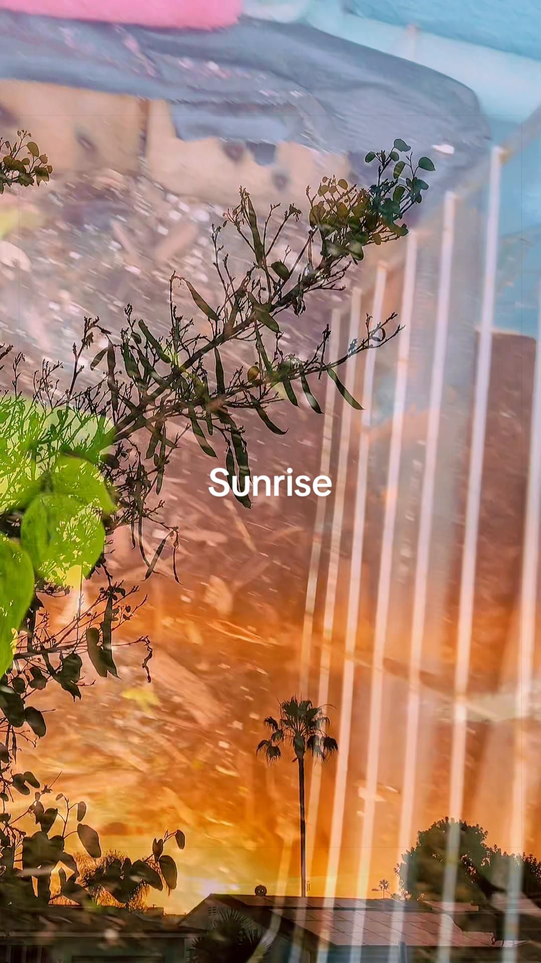 @ᏫᏫᏥᎯᎥᎽᎯᏲ