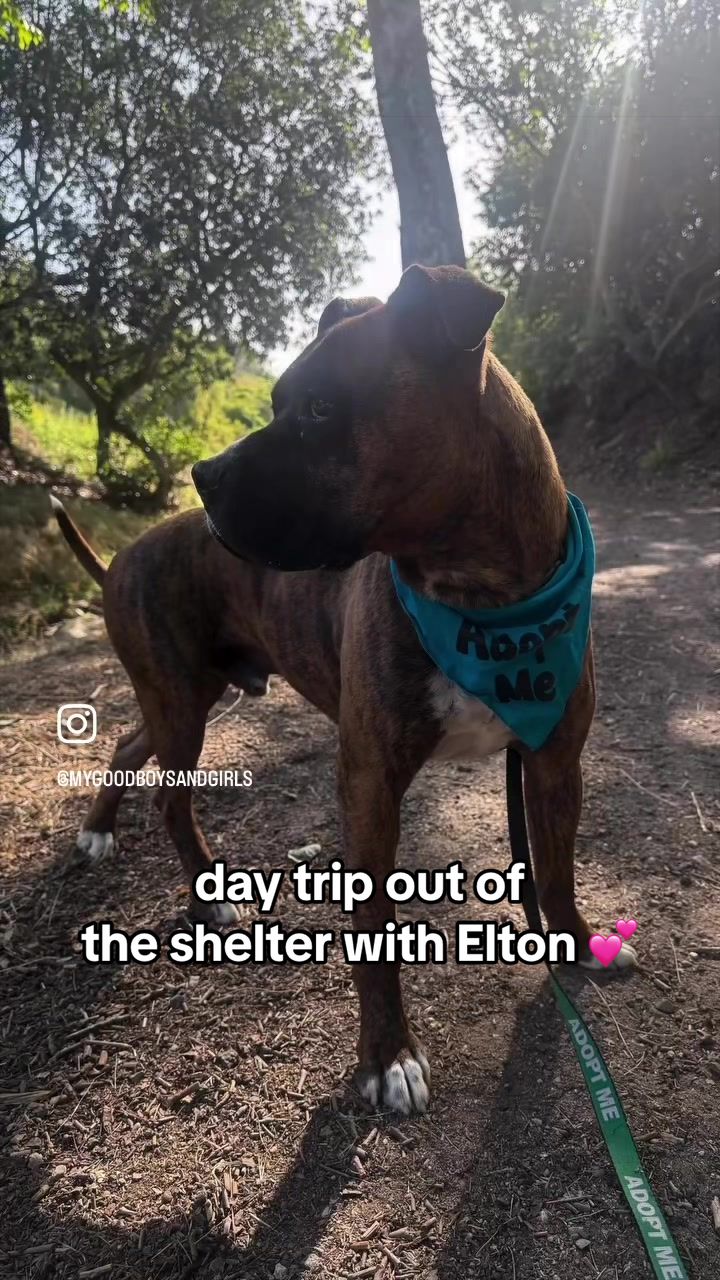 @Ventura County Animal Services
