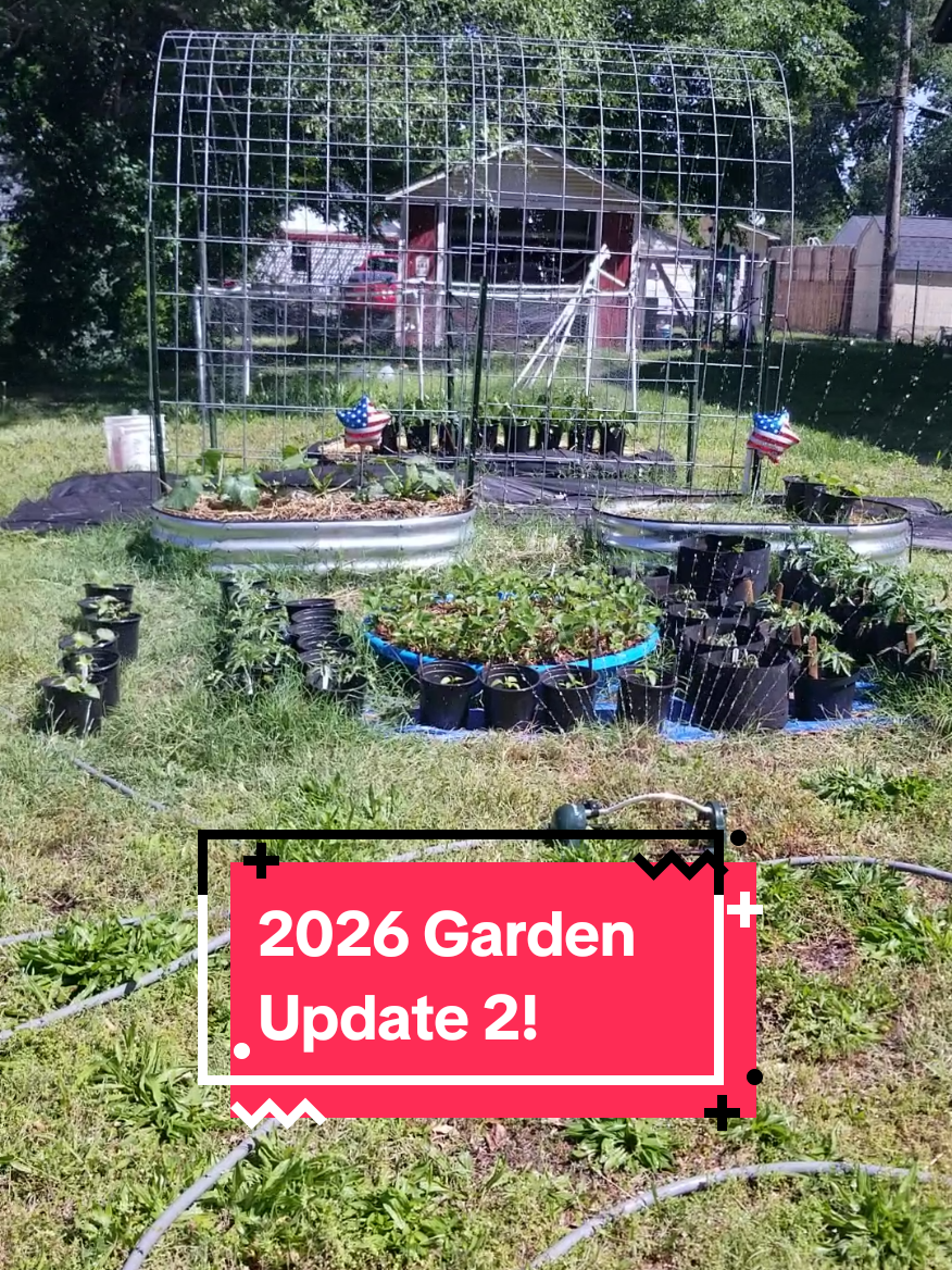 @CityChickenFarm