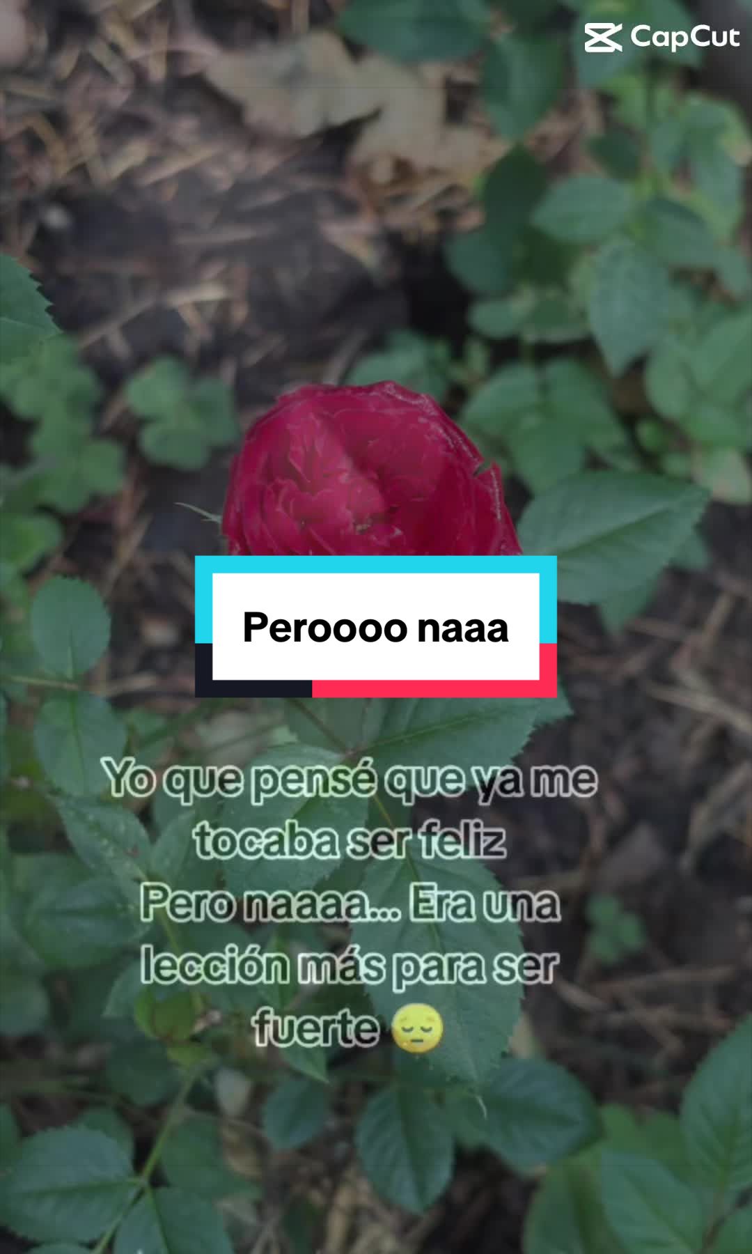 @✨Magdalena🥀✨