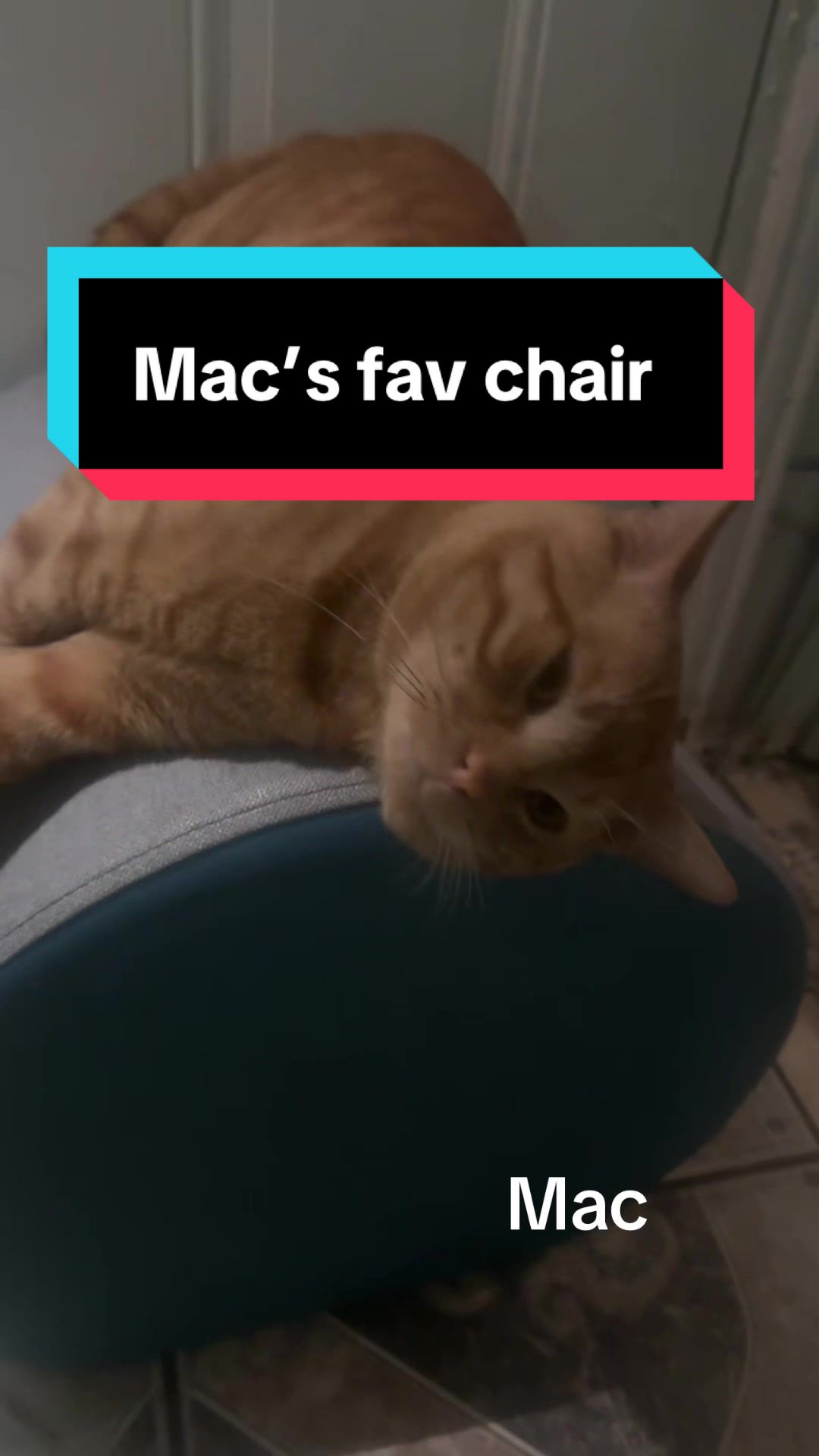 @𝓜𝓪𝓬𝓵𝓸𝓿𝓮