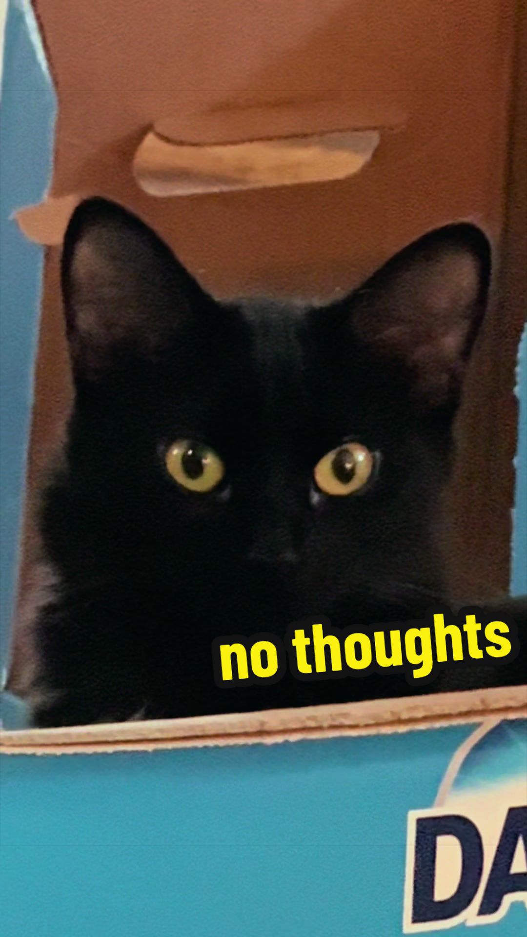 @Beaky