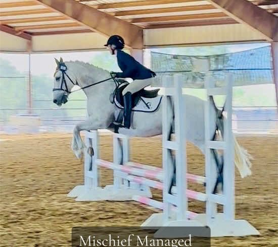 @Grace Equestrian TX