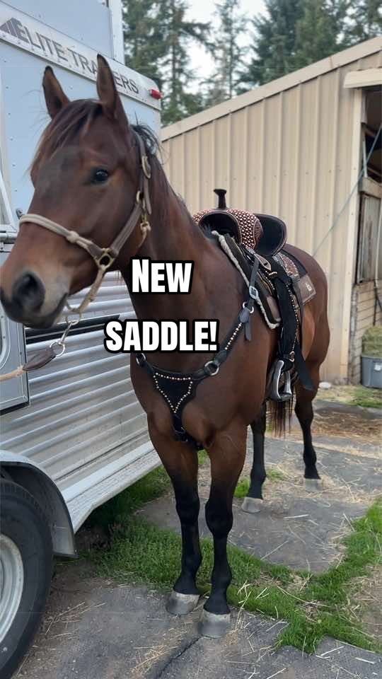 @SAMANTHA | BARREL RACING