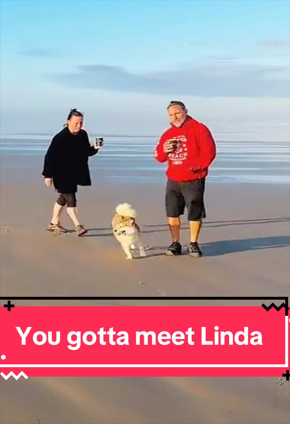 @Ruby the Pomsky