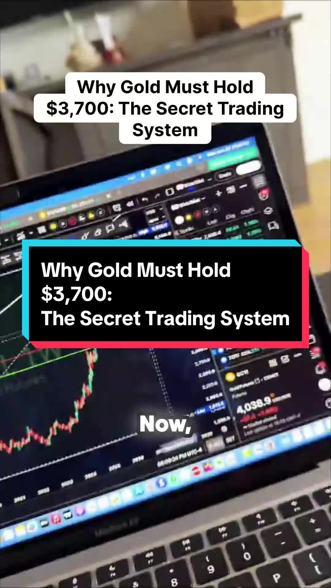 @Blockchain Bullhorn 🐂