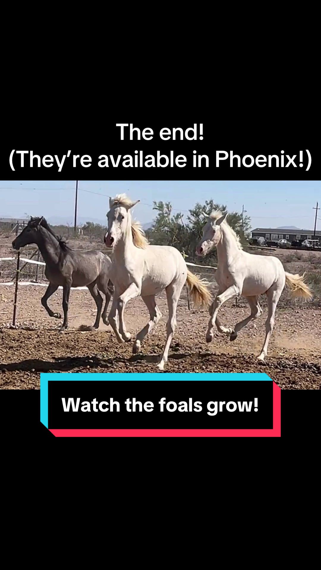 @Ms. Pissyfeet