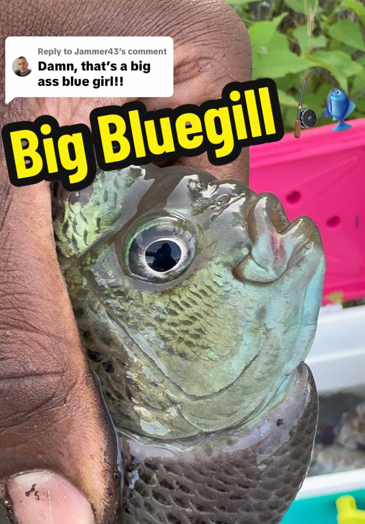 @bayouboy.985