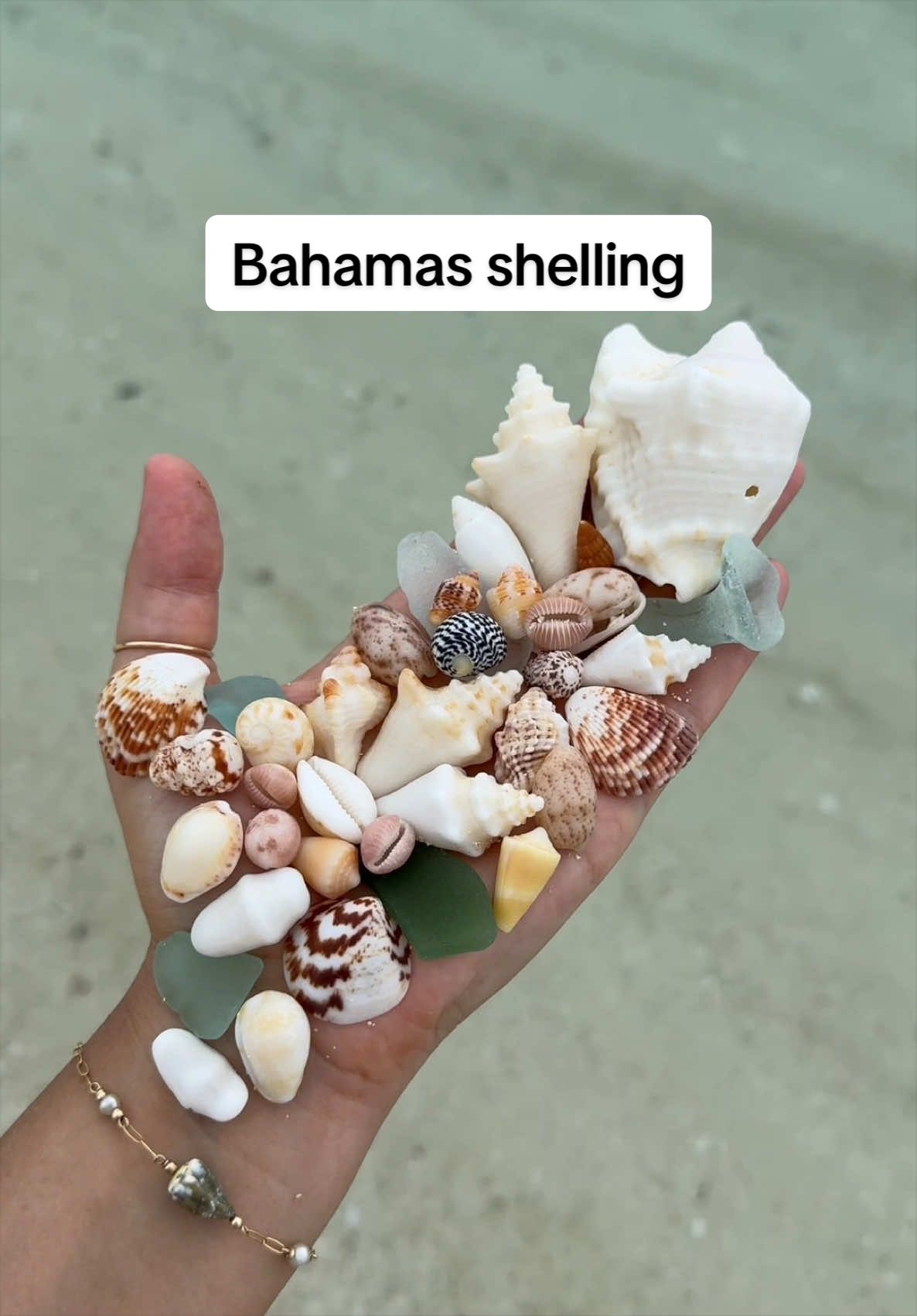 @🐚Jojo🌴