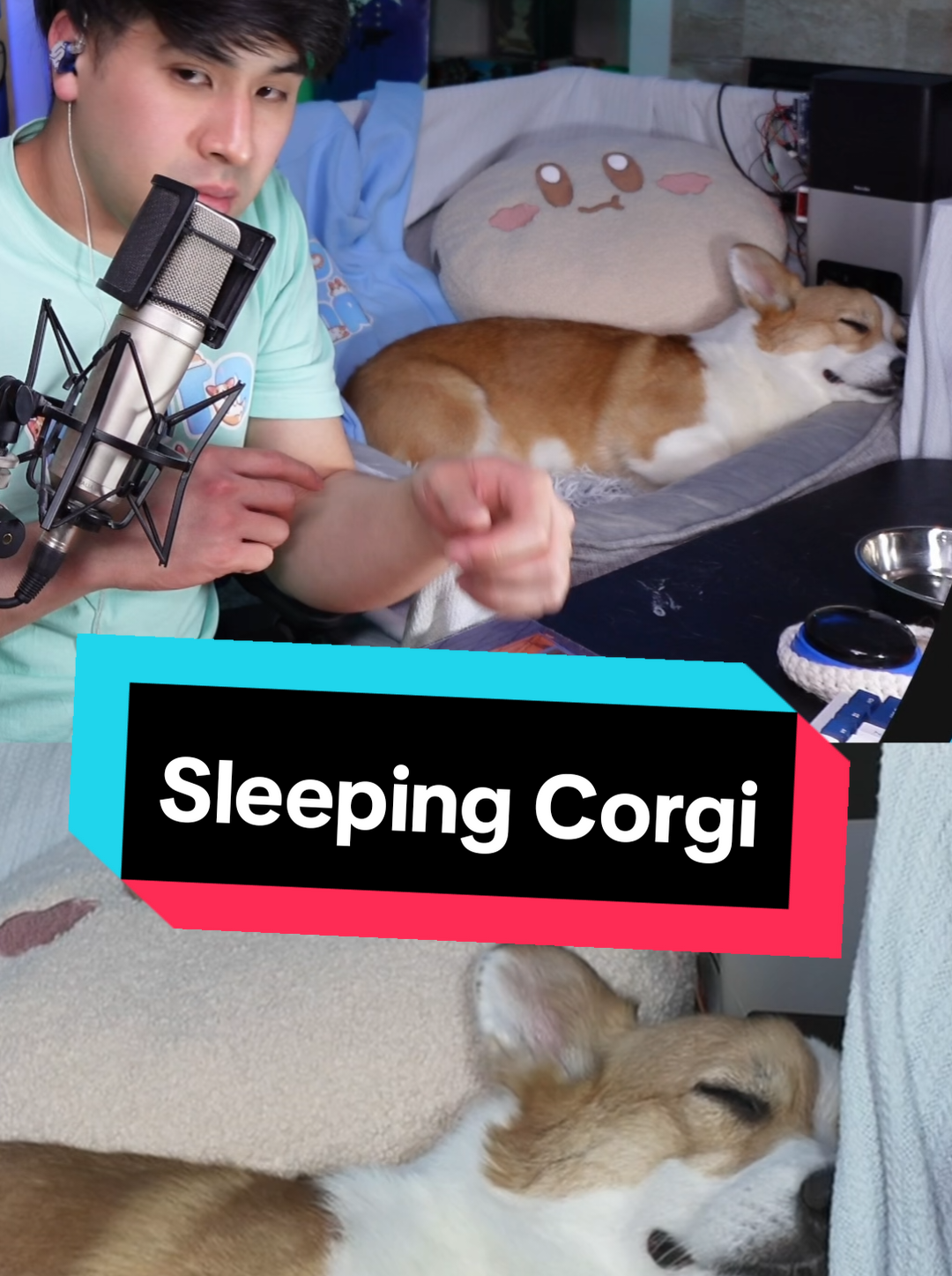 @Protocorg | Twitch Streamer